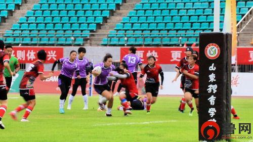 山东体育台在线观看,尽享精彩赛事，畅享体育盛宴  第2张